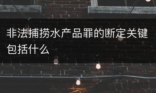 非法捕捞水产品罪的断定关键包括什么