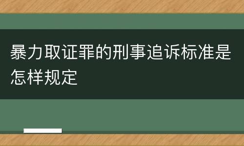 暴力取证罪的刑事追诉标准是怎样规定