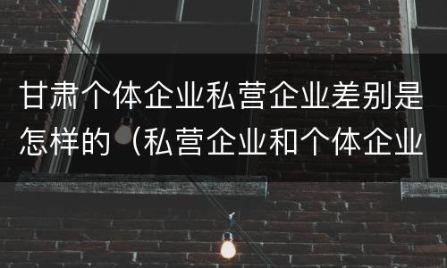 甘肃个体企业私营企业差别是怎样的（私营企业和个体企业的区别）
