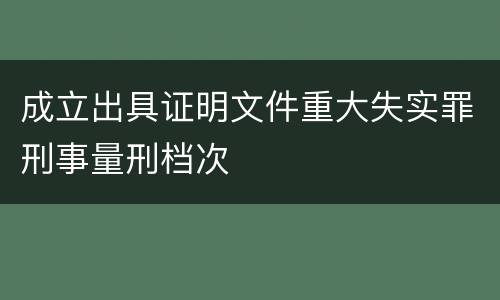成立出具证明文件重大失实罪刑事量刑档次