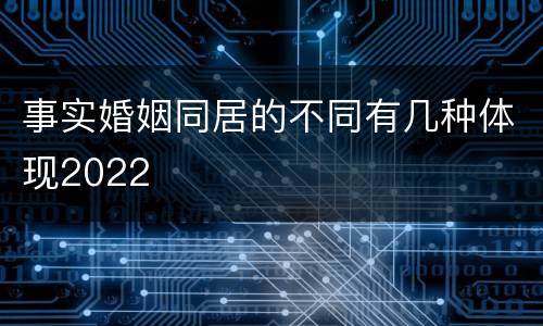 事实婚姻同居的不同有几种体现2022