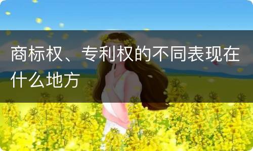 商标权、专利权的不同表现在什么地方