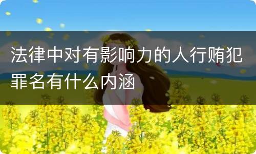 法律中对有影响力的人行贿犯罪名有什么内涵