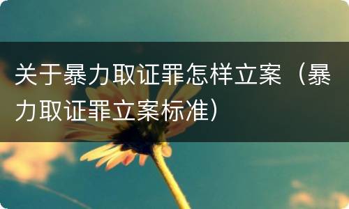 关于暴力取证罪怎样立案（暴力取证罪立案标准）