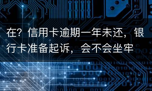 在？信用卡逾期一年未还，银行卡准备起诉，会不会坐牢