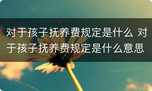 对于孩子抚养费规定是什么 对于孩子抚养费规定是什么意思