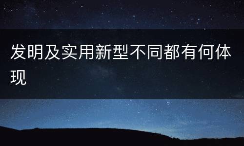 发明及实用新型不同都有何体现