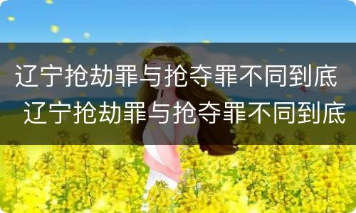 辽宁抢劫罪与抢夺罪不同到底 辽宁抢劫罪与抢夺罪不同到底吗