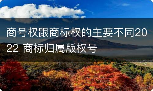 商号权跟商标权的主要不同2022 商标归属版权号