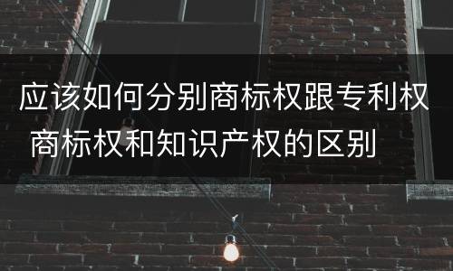 应该如何分别商标权跟专利权 商标权和知识产权的区别