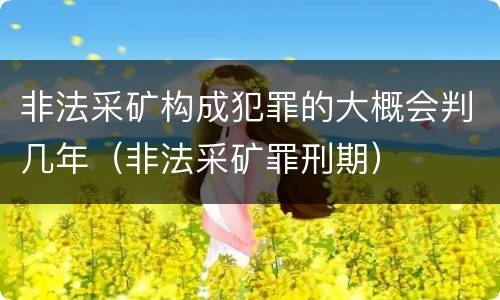 非法采矿构成犯罪的大概会判几年（非法采矿罪刑期）