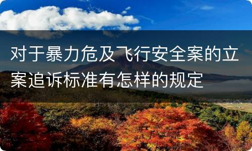 对于暴力危及飞行安全案的立案追诉标准有怎样的规定