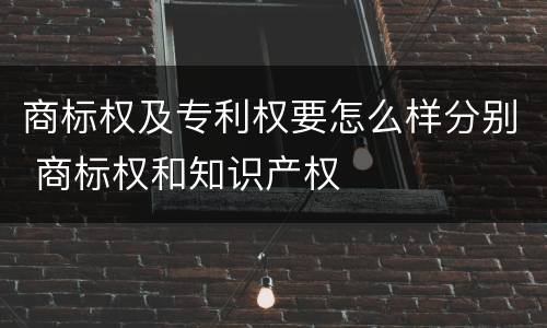 商标权及专利权要怎么样分别 商标权和知识产权