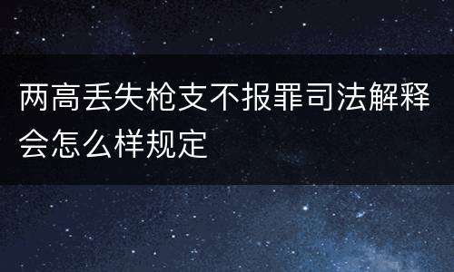 两高丢失枪支不报罪司法解释会怎么样规定