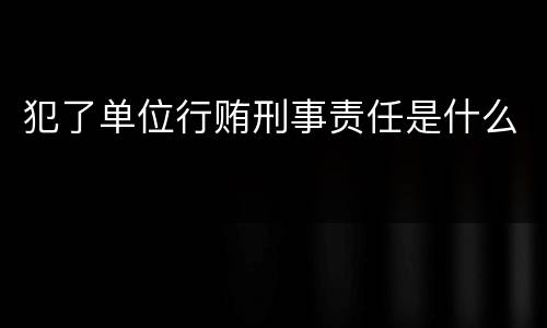 犯了单位行贿刑事责任是什么