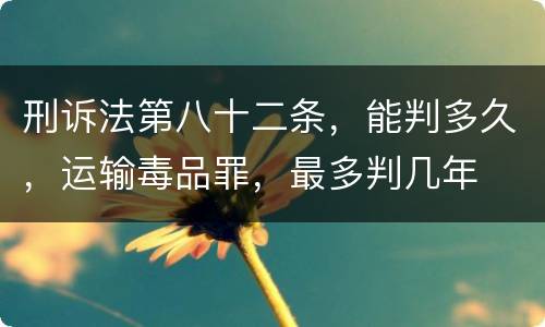 刑诉法第八十二条，能判多久，运输毒品罪，最多判几年