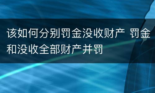 该如何分别罚金没收财产 罚金和没收全部财产并罚