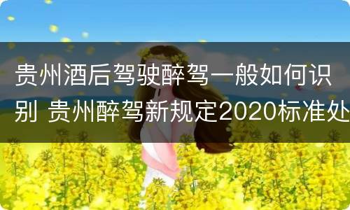 贵州酒后驾驶醉驾一般如何识别 贵州醉驾新规定2020标准处罚