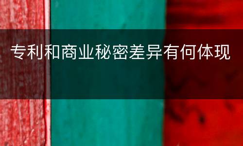 专利和商业秘密差异有何体现