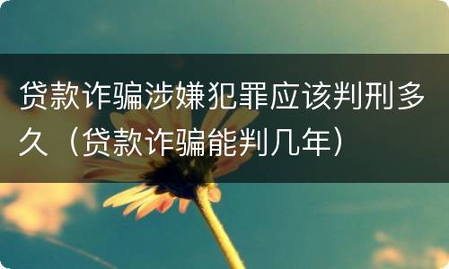 贷款诈骗涉嫌犯罪应该判刑多久（贷款诈骗能判几年）