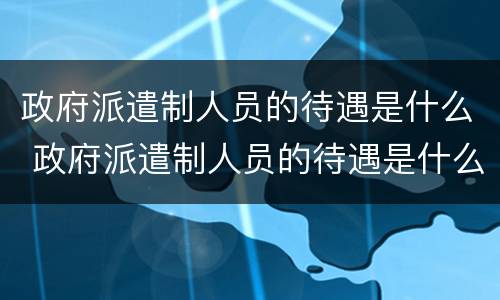政府派遣制人员的待遇是什么 政府派遣制人员的待遇是什么意思