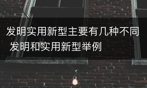 发明实用新型主要有几种不同 发明和实用新型举例