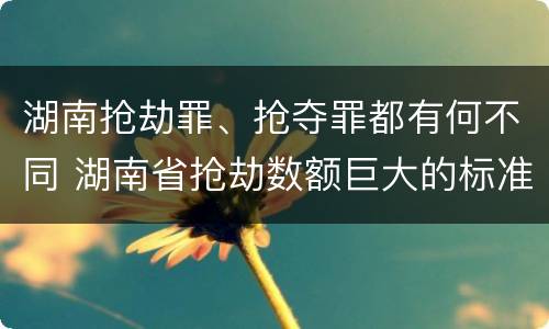 湖南抢劫罪、抢夺罪都有何不同 湖南省抢劫数额巨大的标准