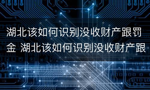 湖北该如何识别没收财产跟罚金 湖北该如何识别没收财产跟罚金呢
