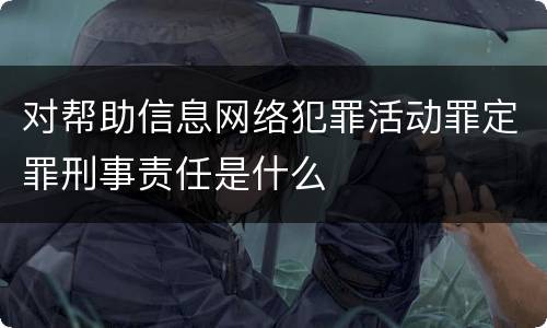 对帮助信息网络犯罪活动罪定罪刑事责任是什么