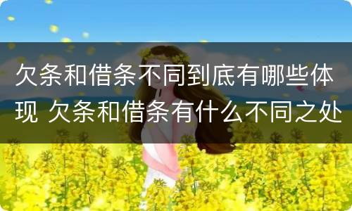 欠条和借条不同到底有哪些体现 欠条和借条有什么不同之处
