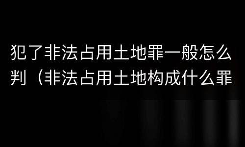 犯了非法占用土地罪一般怎么判（非法占用土地构成什么罪）