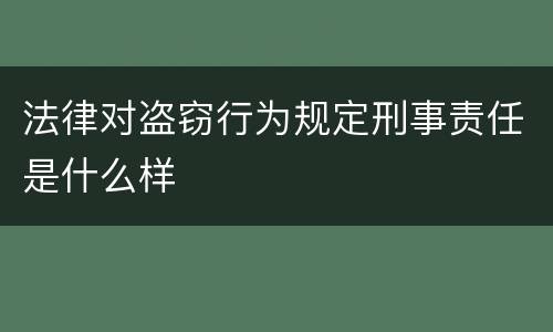 法律对盗窃行为规定刑事责任是什么样