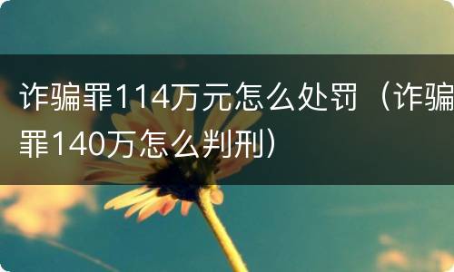 诈骗罪114万元怎么处罚（诈骗罪140万怎么判刑）