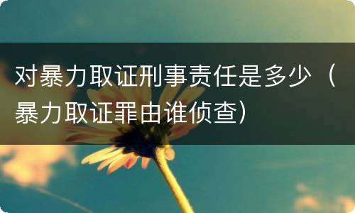 对暴力取证刑事责任是多少（暴力取证罪由谁侦查）