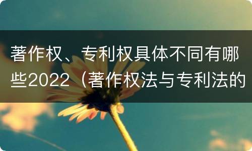 著作权、专利权具体不同有哪些2022（著作权法与专利法的区别）