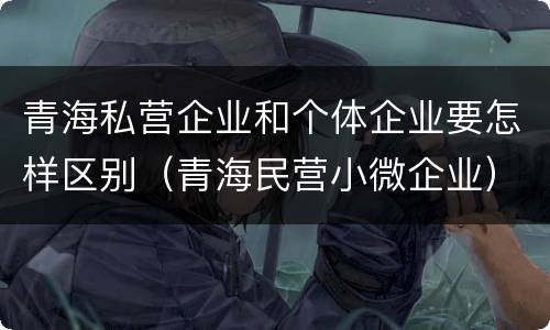 青海私营企业和个体企业要怎样区别（青海民营小微企业）