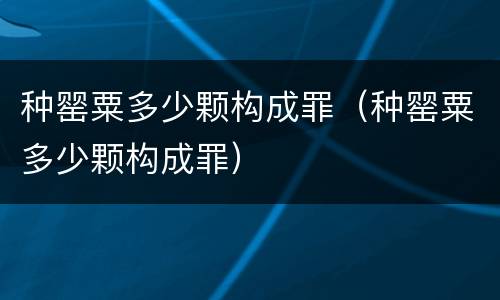 种罂粟多少颗构成罪（种罂粟多少颗构成罪）