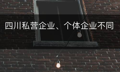 四川私营企业、个体企业不同