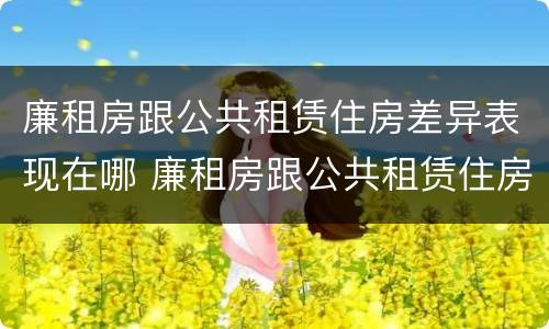 廉租房跟公共租赁住房差异表现在哪 廉租房跟公共租赁住房差异表现在哪些方面