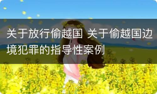 关于放行偷越国 关于偷越国边境犯罪的指导性案例