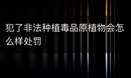 犯了非法种植毒品原植物会怎么样处罚
