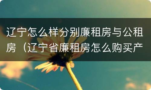 辽宁怎么样分别廉租房与公租房（辽宁省廉租房怎么购买产权）