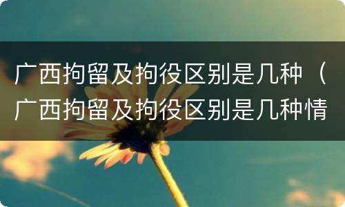 广西拘留及拘役区别是几种（广西拘留及拘役区别是几种情形）