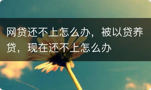 网贷还不上怎么办，被以贷养贷，现在还不上怎么办