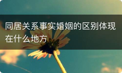 同居关系事实婚姻的区别体现在什么地方