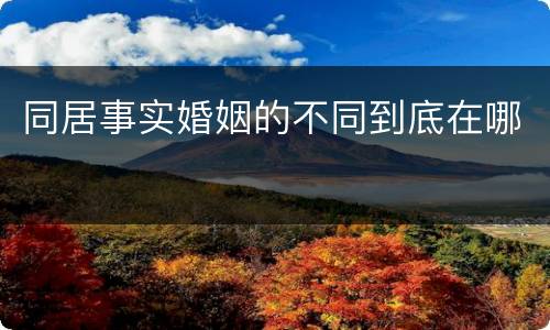 同居事实婚姻的不同到底在哪