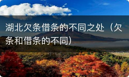 湖北欠条借条的不同之处（欠条和借条的不同）