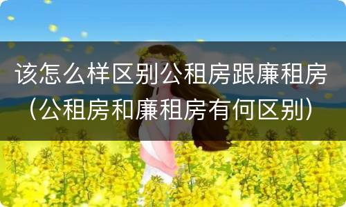 该怎么样区别公租房跟廉租房（公租房和廉租房有何区别）