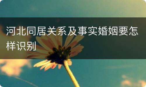 河北同居关系及事实婚姻要怎样识别