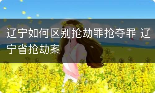 辽宁如何区别抢劫罪抢夺罪 辽宁省抢劫案